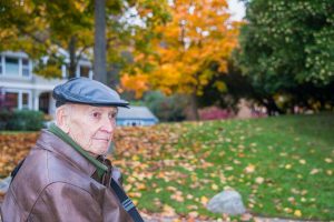 24-Hour Home Care - Can Seniors Have Service Animals?